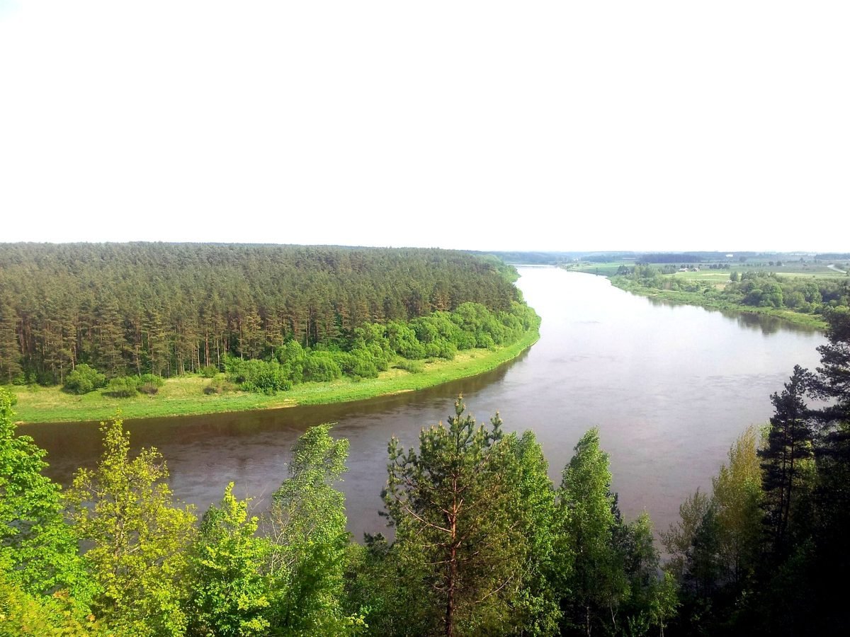 UAB Miškų darbai komanda miške